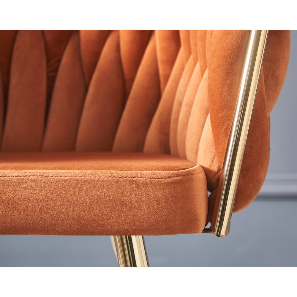 Roma Knot LUX Velvet Dining Chair - Plush Upholstery with Gold Frame