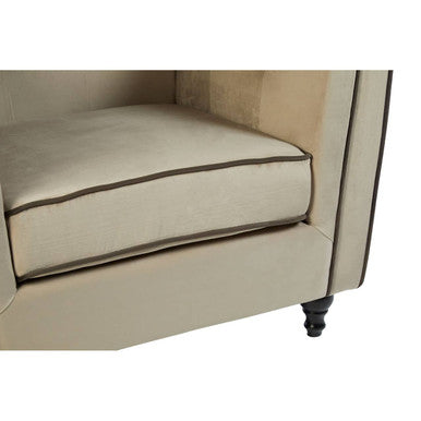Ferris Mink Velvet Chair - PN Home