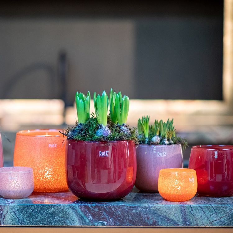 The Mouthblown Glass POT Collection - by DutZ - PN Home