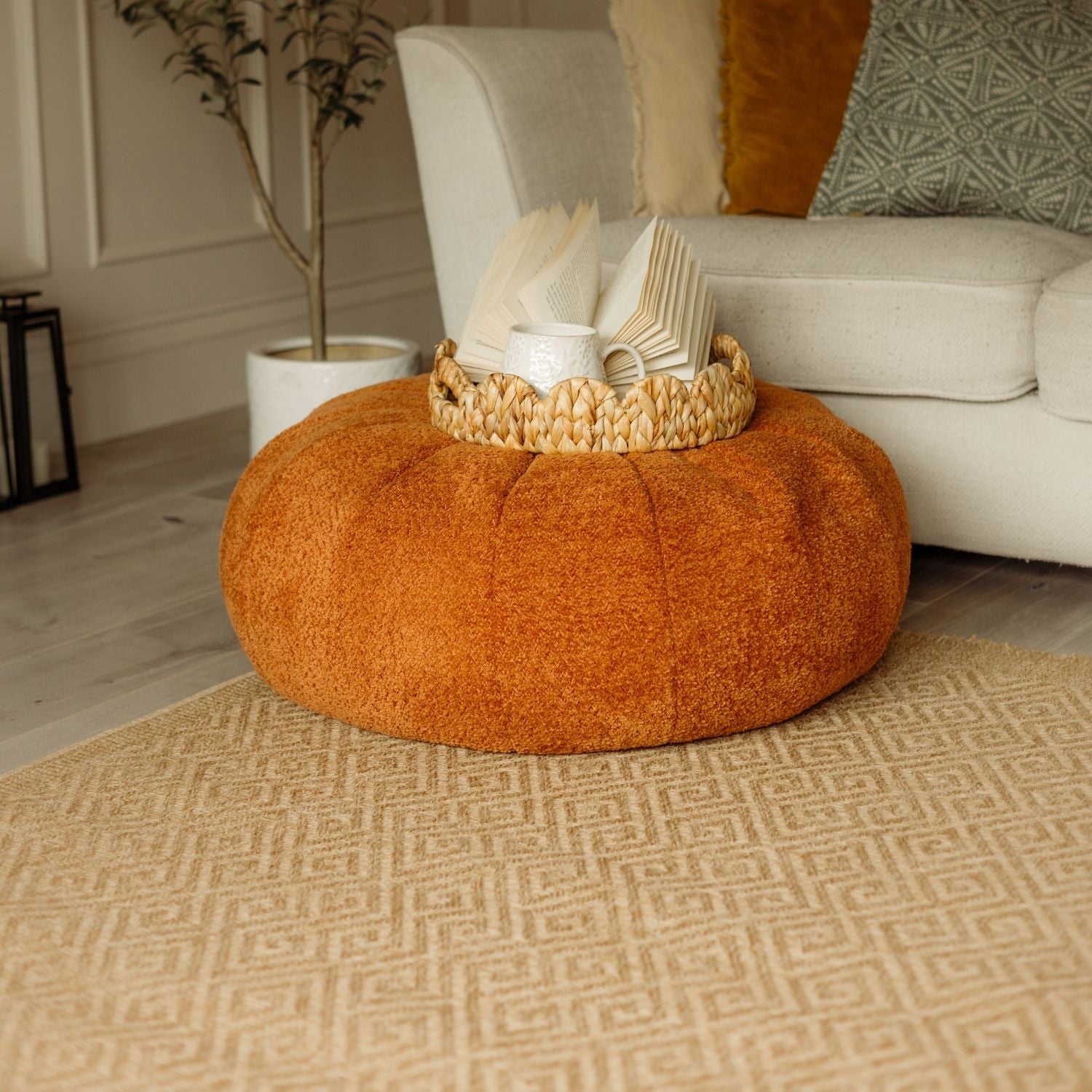 Nature Outdoor Rug Neutral | 5100N - PN Home