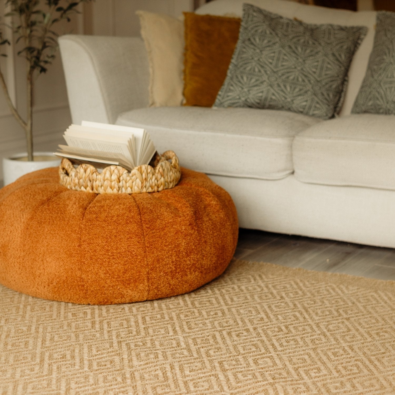 Nature Outdoor Rug Neutral | 5100N - PN Home