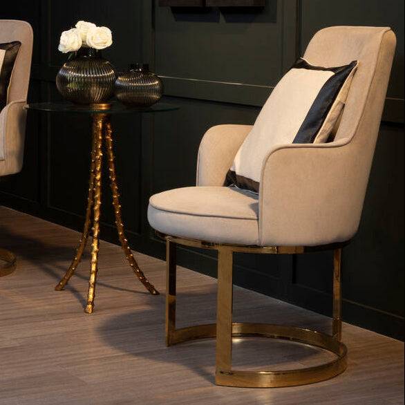 Eliza Beige Velvet Dining Chair - PN Home