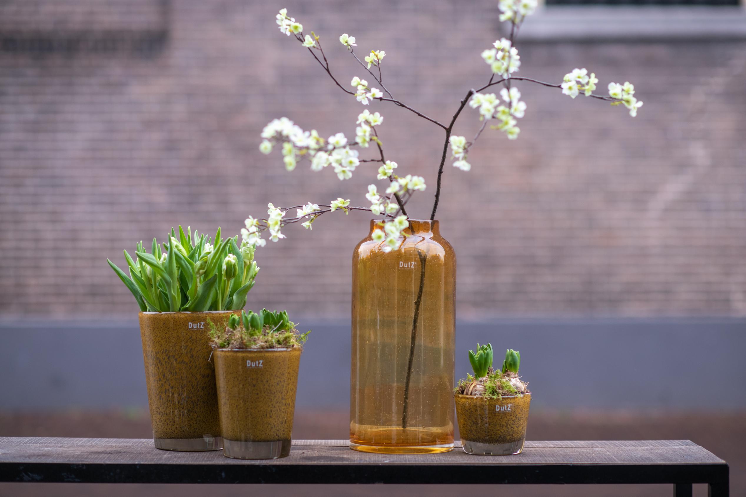 CONIC Vase - Thick Glass with Bubbles by DutZ