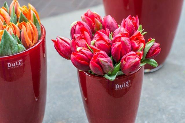FLOWERVASE - RED by DutZ - PN Home