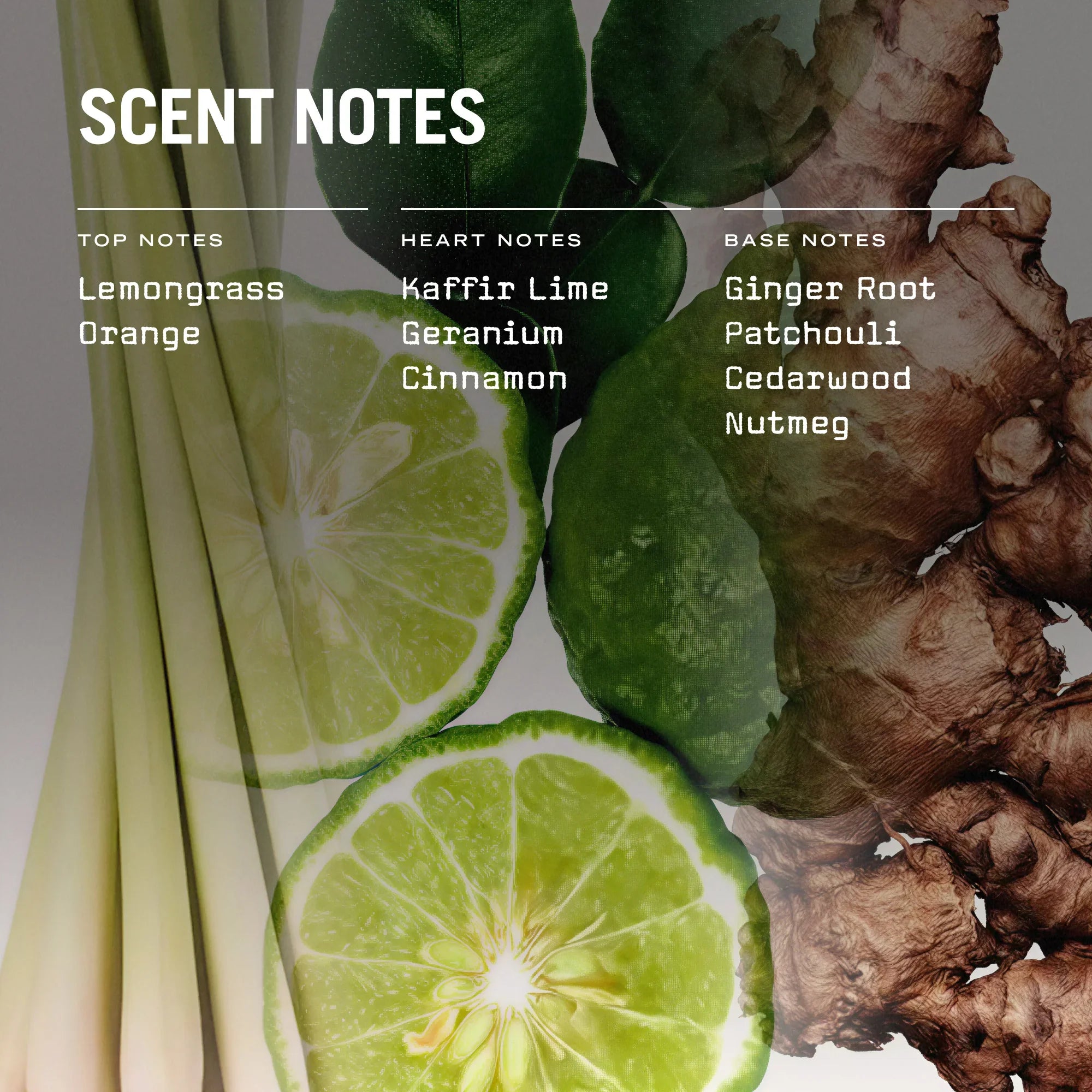 Eastern Garden 250g Scented Candle Refill