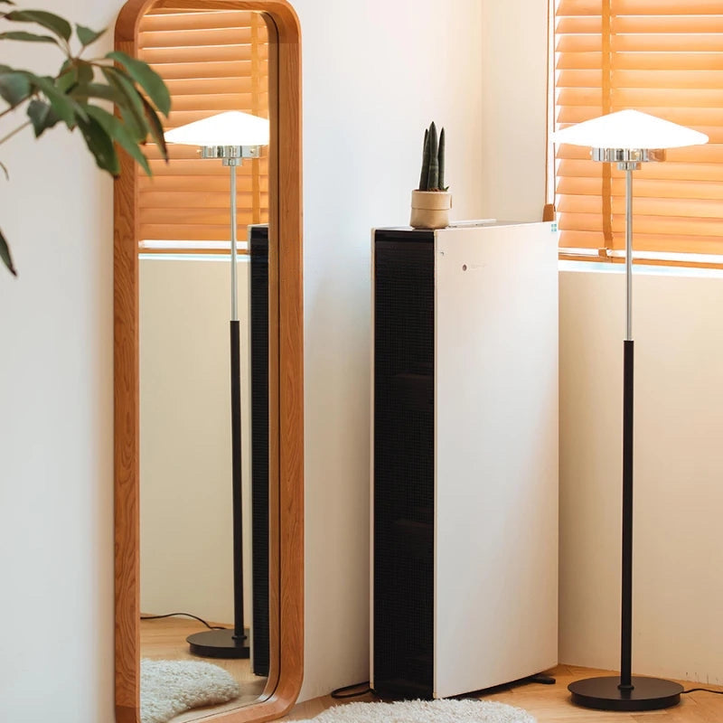 Okemia Mirror - PN Home