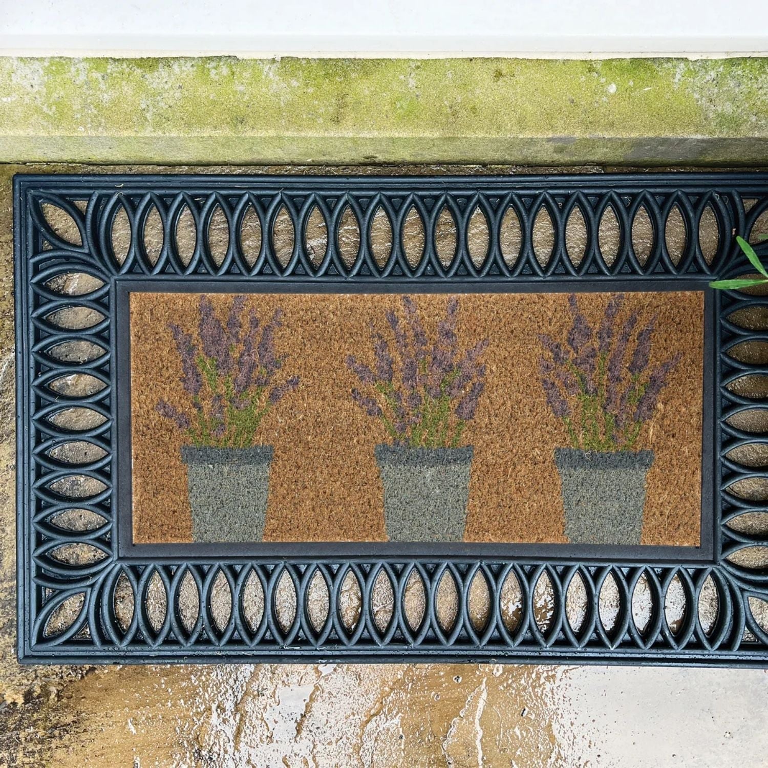 Outdoor Lavender Coir Insert (23x53cm) - PN Home