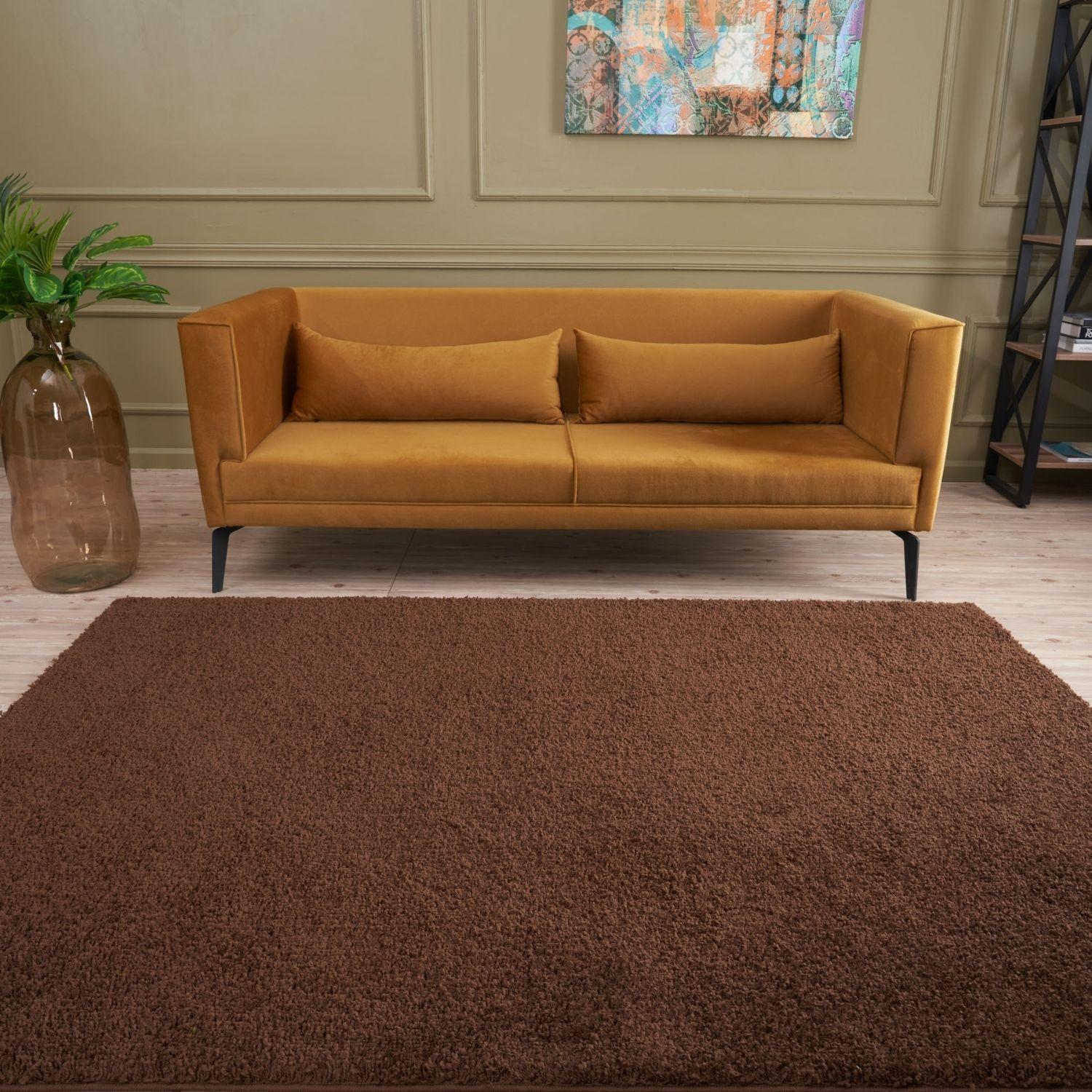 Myshaggy Solid Brown Rug - PN Home