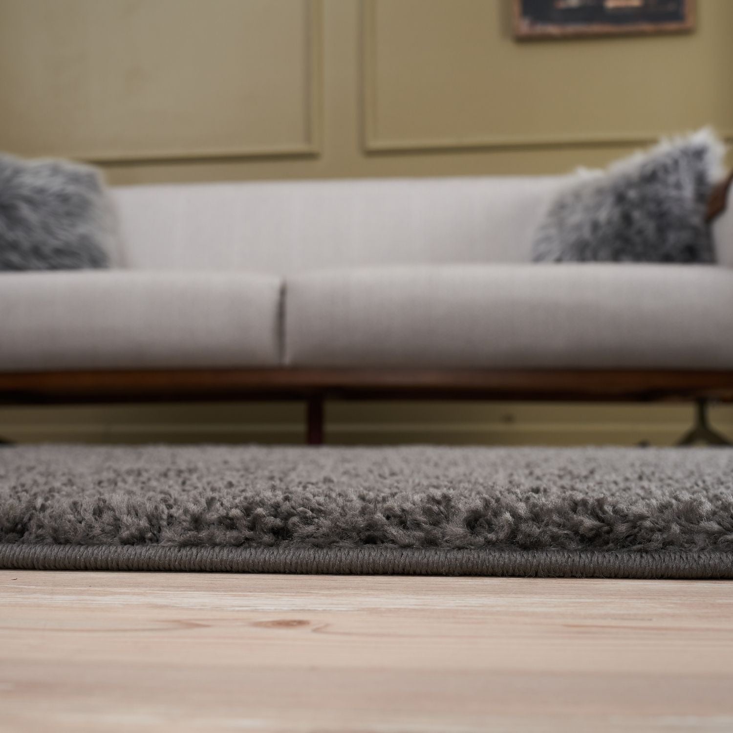 Myshaggy Solid Dark Grey Rug - PN Home