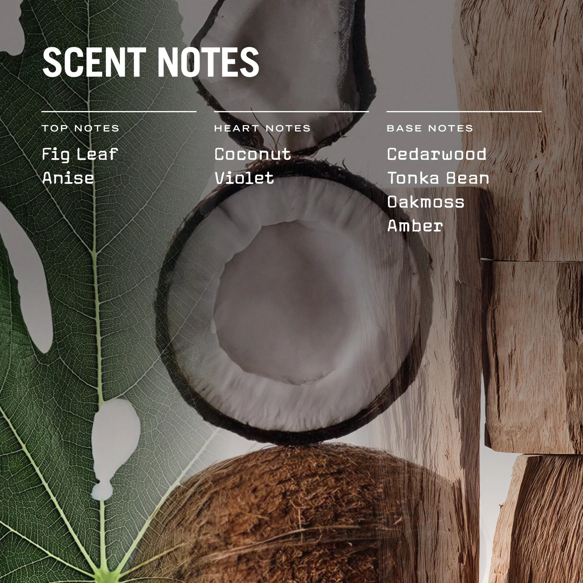 Opulence 100ml Reed Diffuser