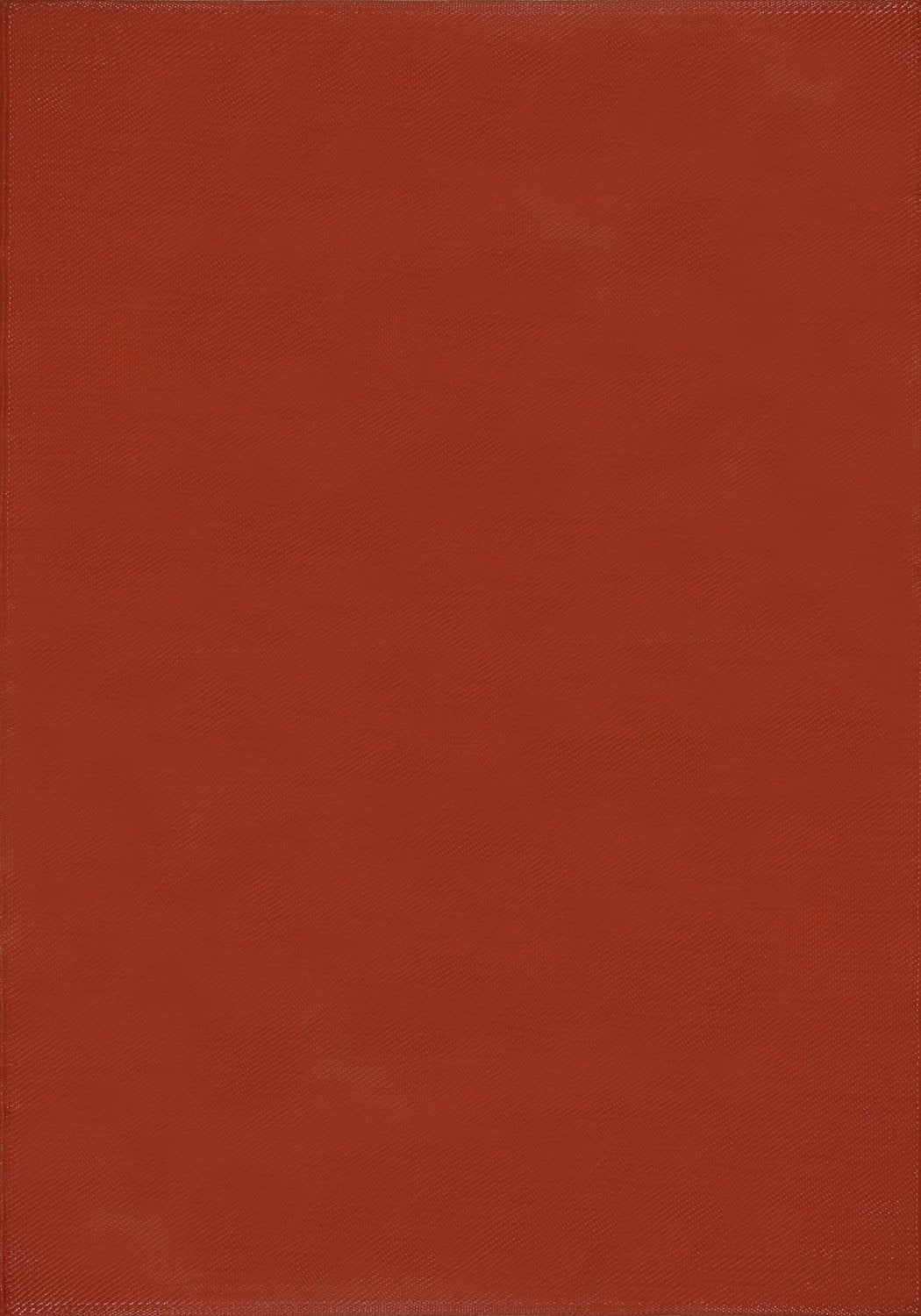 Urban Outdoor Rug Terra | 1000 - PN Home