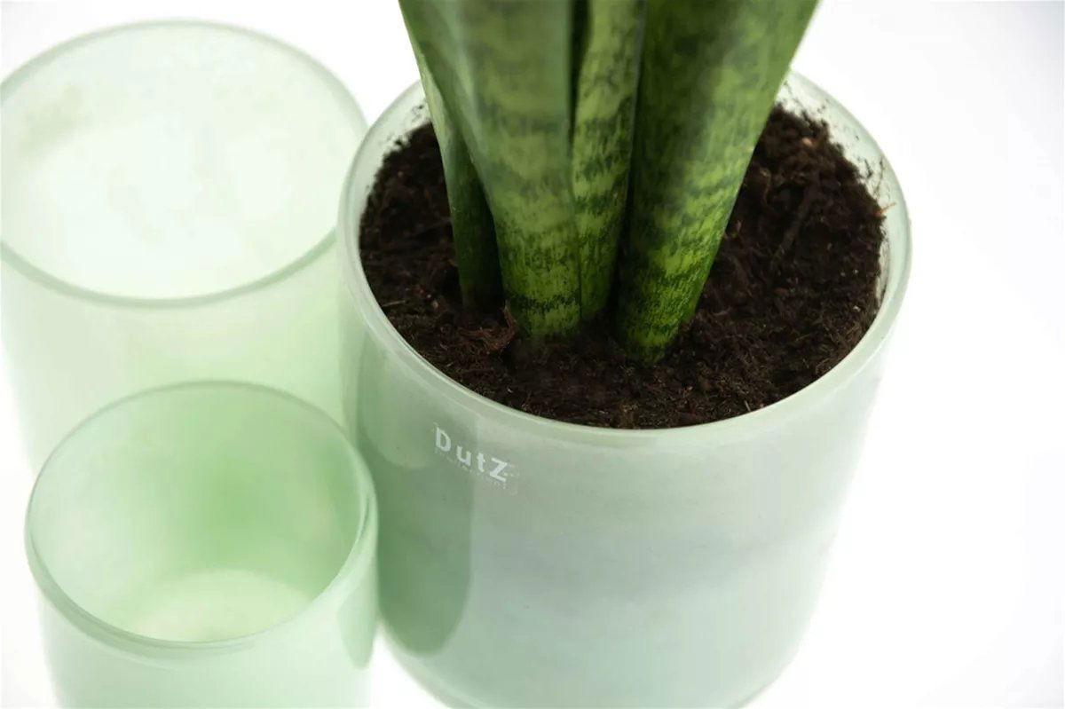 CYLINDER C1 Candleholder Votive - Mouthblown Glass by DutZ - PN Home