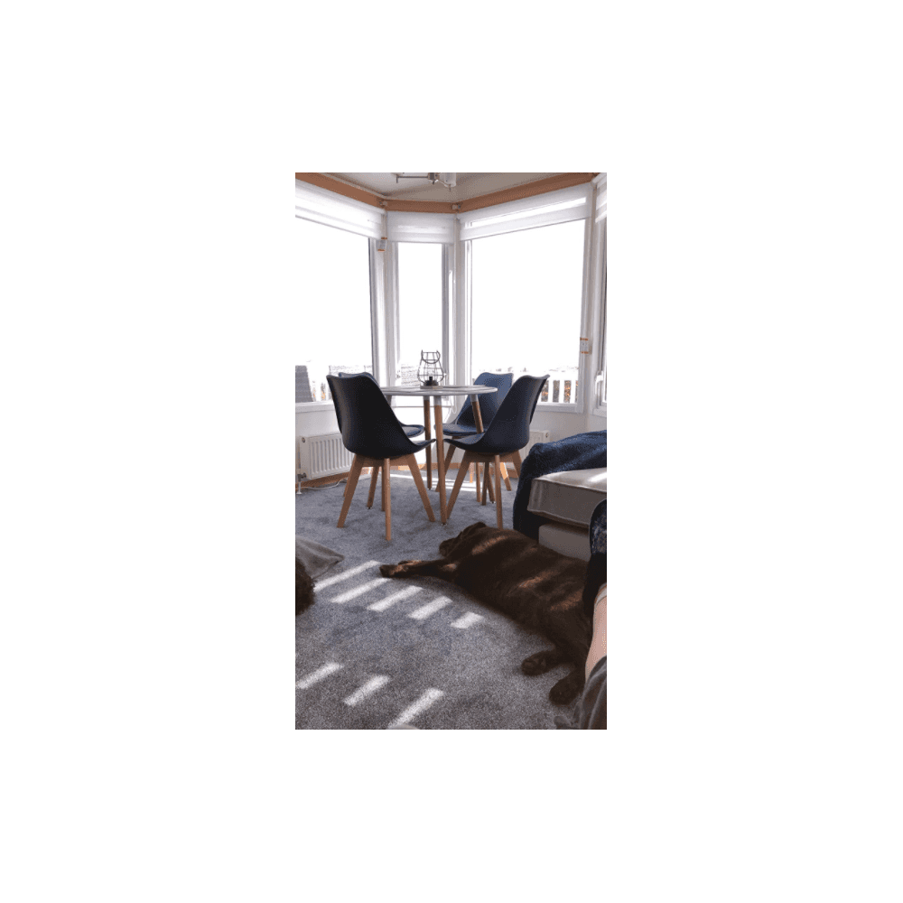 Jamie Halo Round Dining Table Set with 4 Chairs - PN Home