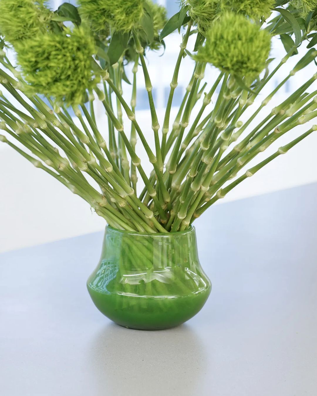 Glass Orchid POT MARCO - JUNGLE GREEN - PN Home