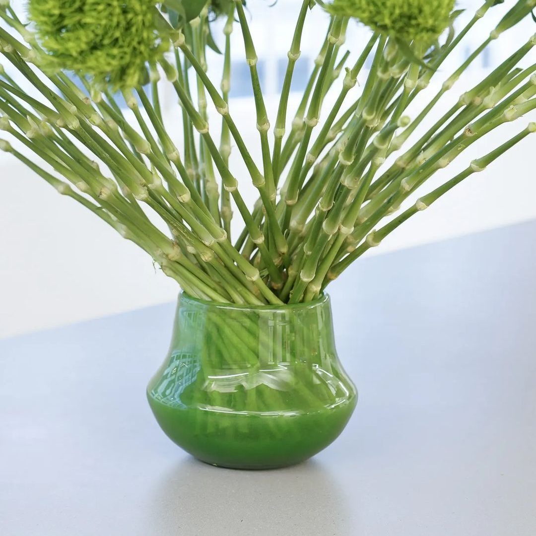 Glass Orchid POT MARCO - JUNGLE GREEN - PN Home