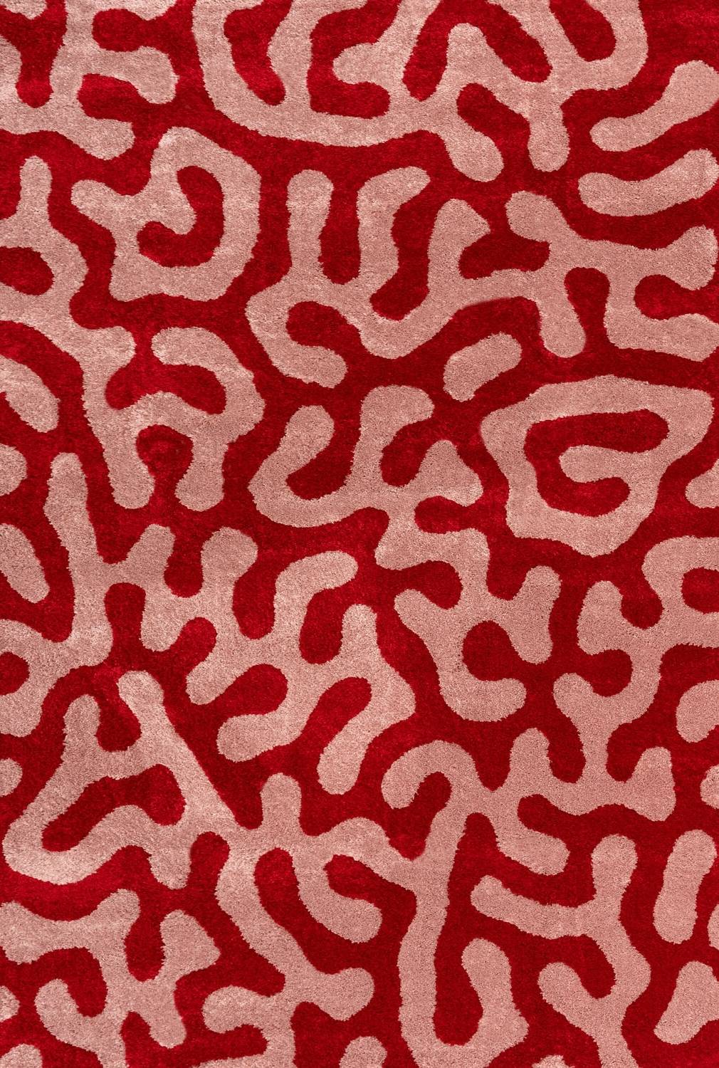Joli Doodle Red & Pink Rug - PN Home