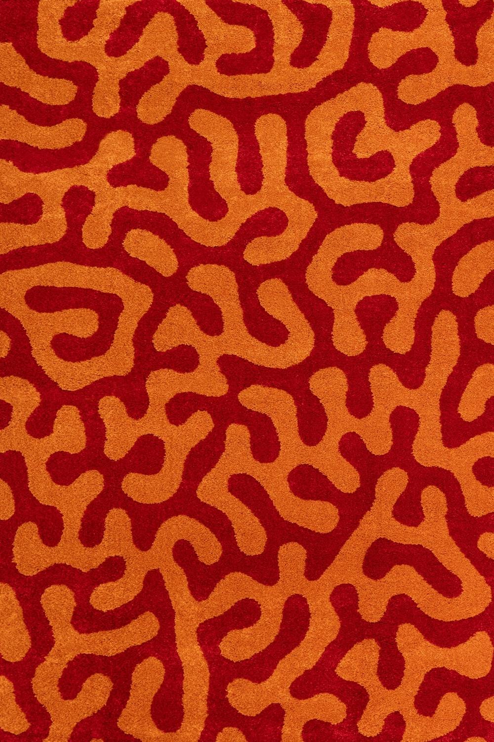 Joli Doodle Red & Orange Rug - PN Home