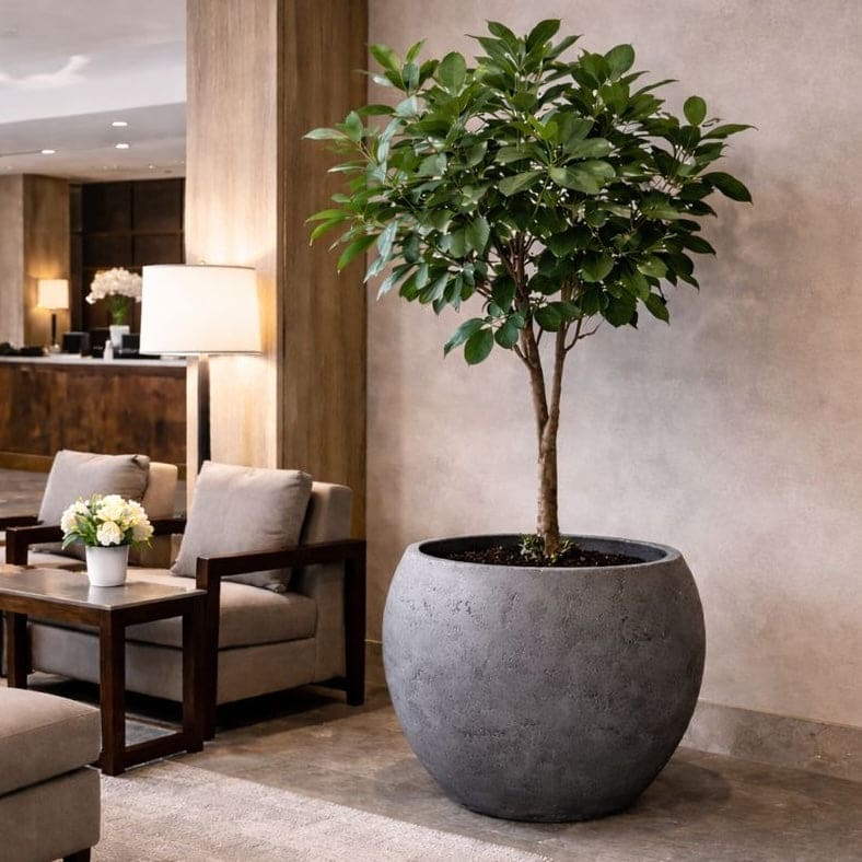 Orbello | Onyx Dusk β 70cm Extra Large Concrete Sphere Planter β 207L Round Plant Pot - PN Home