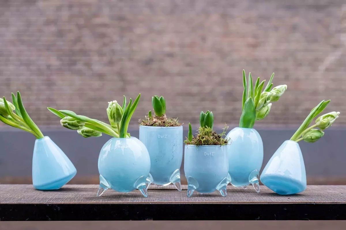 EVITA Vase with Feet - Set of 4pcs - Elegant Home Décor in Multiple Colors, Handcrafted Glass Vase, Unique Handmade Home Decoration
