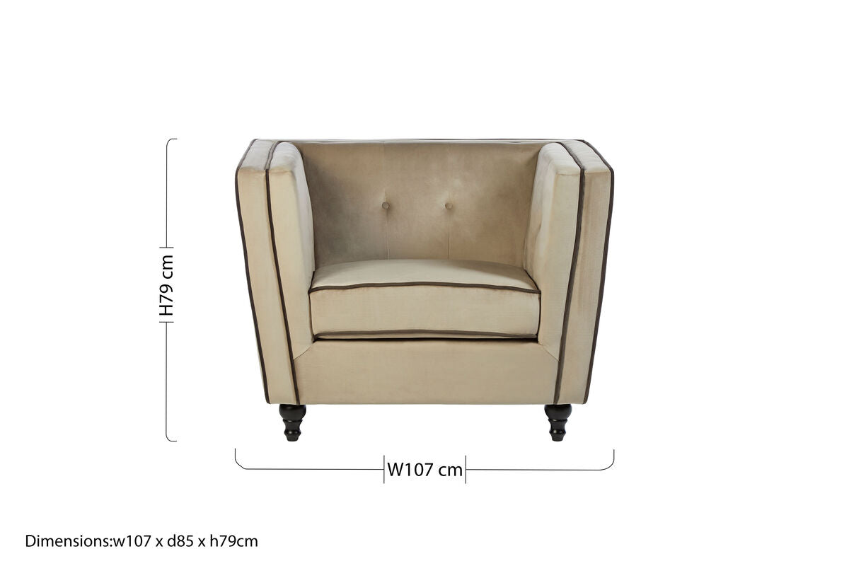 Ferris Mink Velvet Chair - PN Home