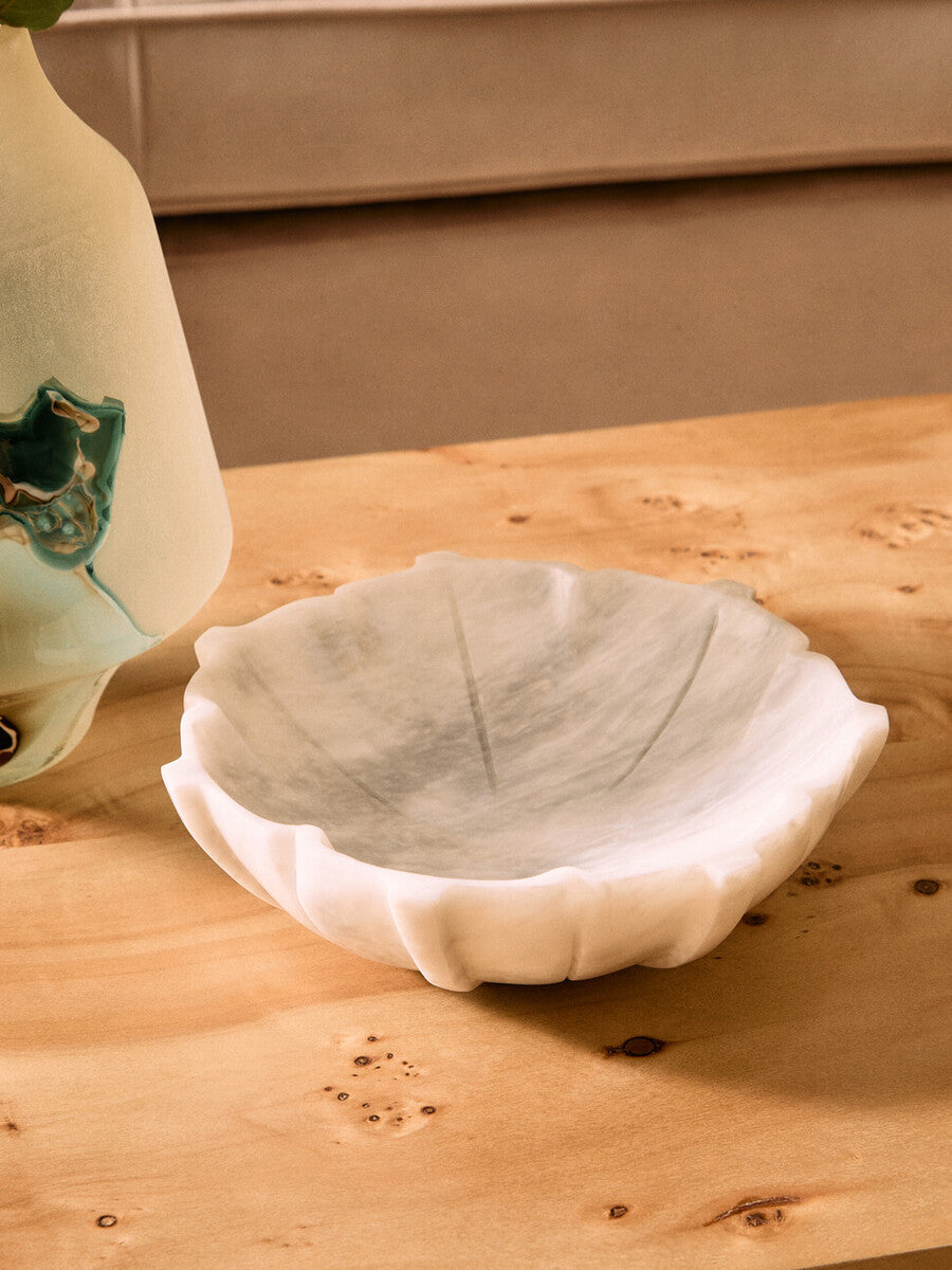 Mota Burl Wood Design Curved Coffee Table - PN Home