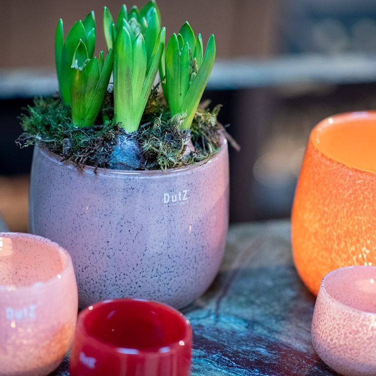 The Mouthblown Glass POT Collection - by DutZ - PN Home
