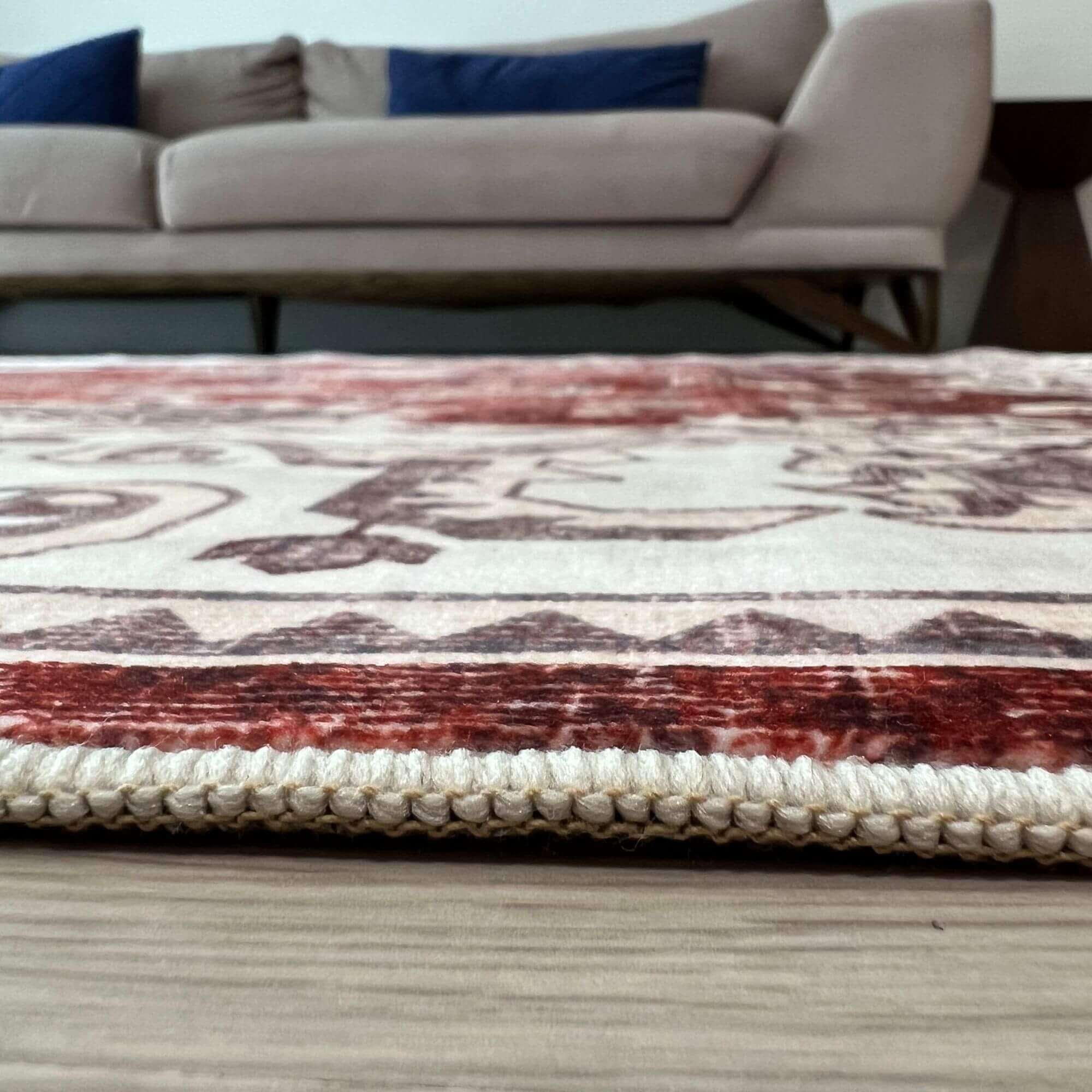 Jasru Vintage Washable Rug - PN Home