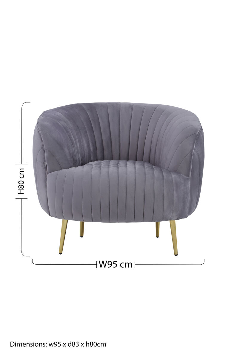 Florina Grey Velvet Chair With Gold Legs - PN Home