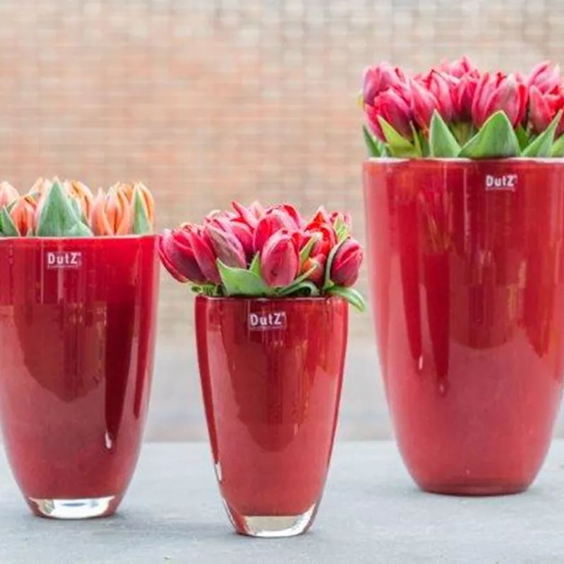 FLOWERVASE DutZ