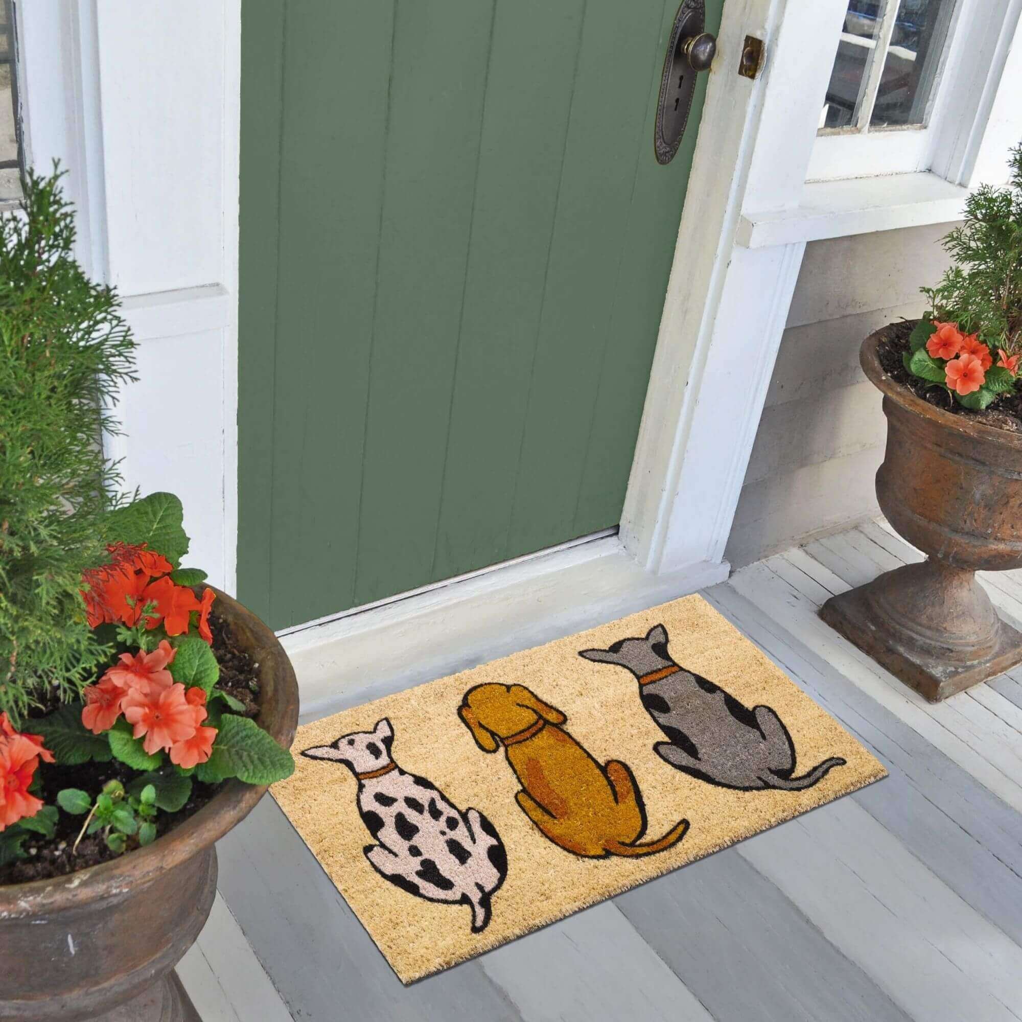 Coir Cats/Dogs Mats 45x75 cm | 132 - PN Home