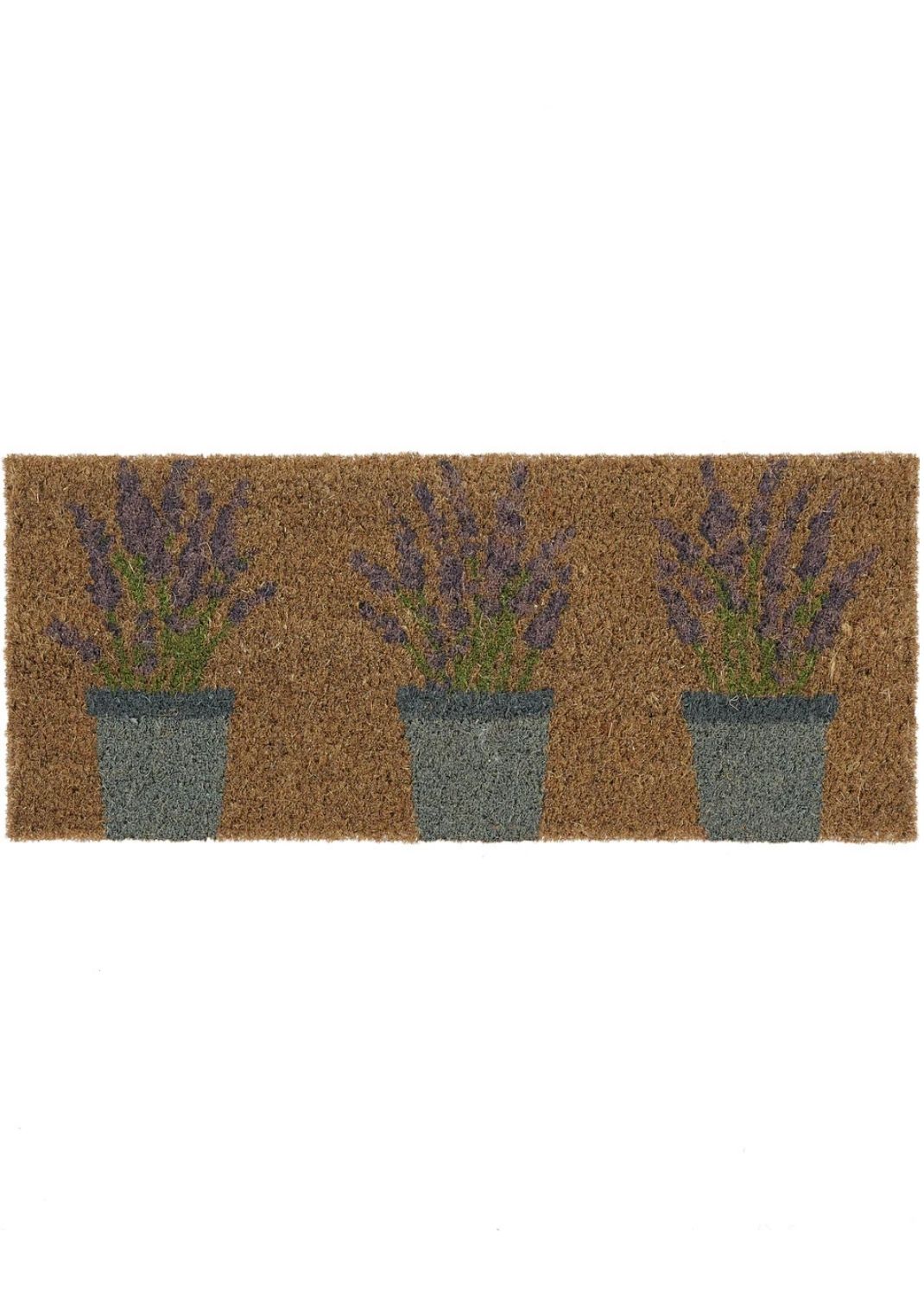Outdoor Lavender Coir Insert (23x53cm) - PN Home