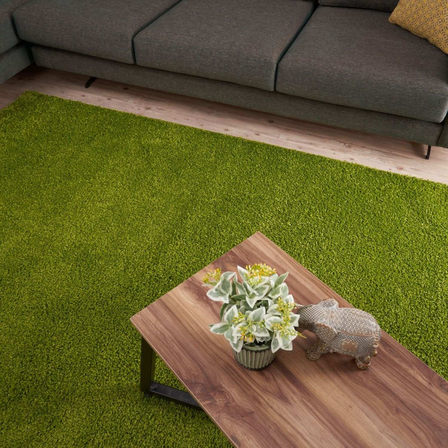 Myshaggy Solid Green Rug - PN Home