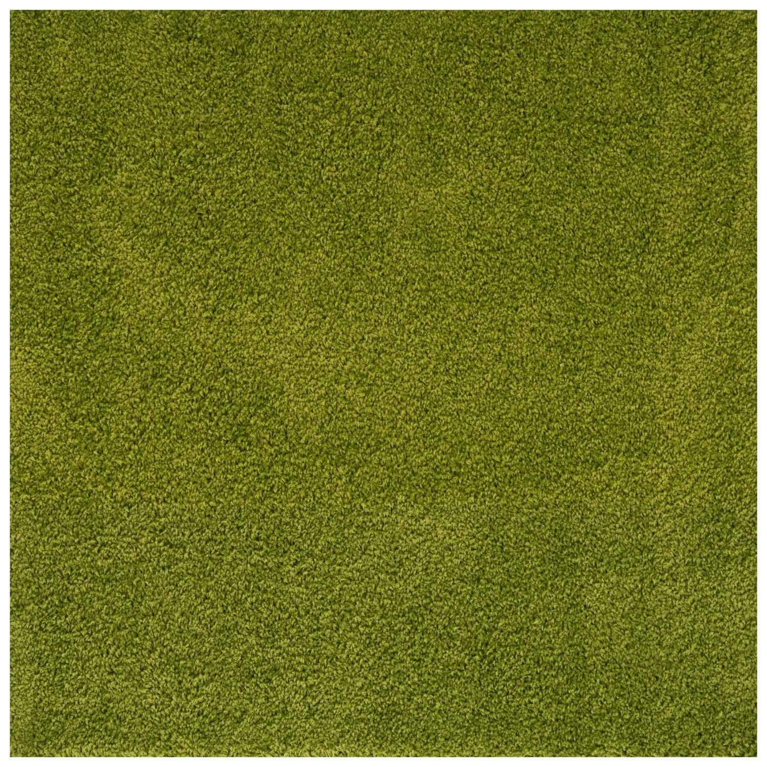 Myshaggy Solid Green Rug - PN Home