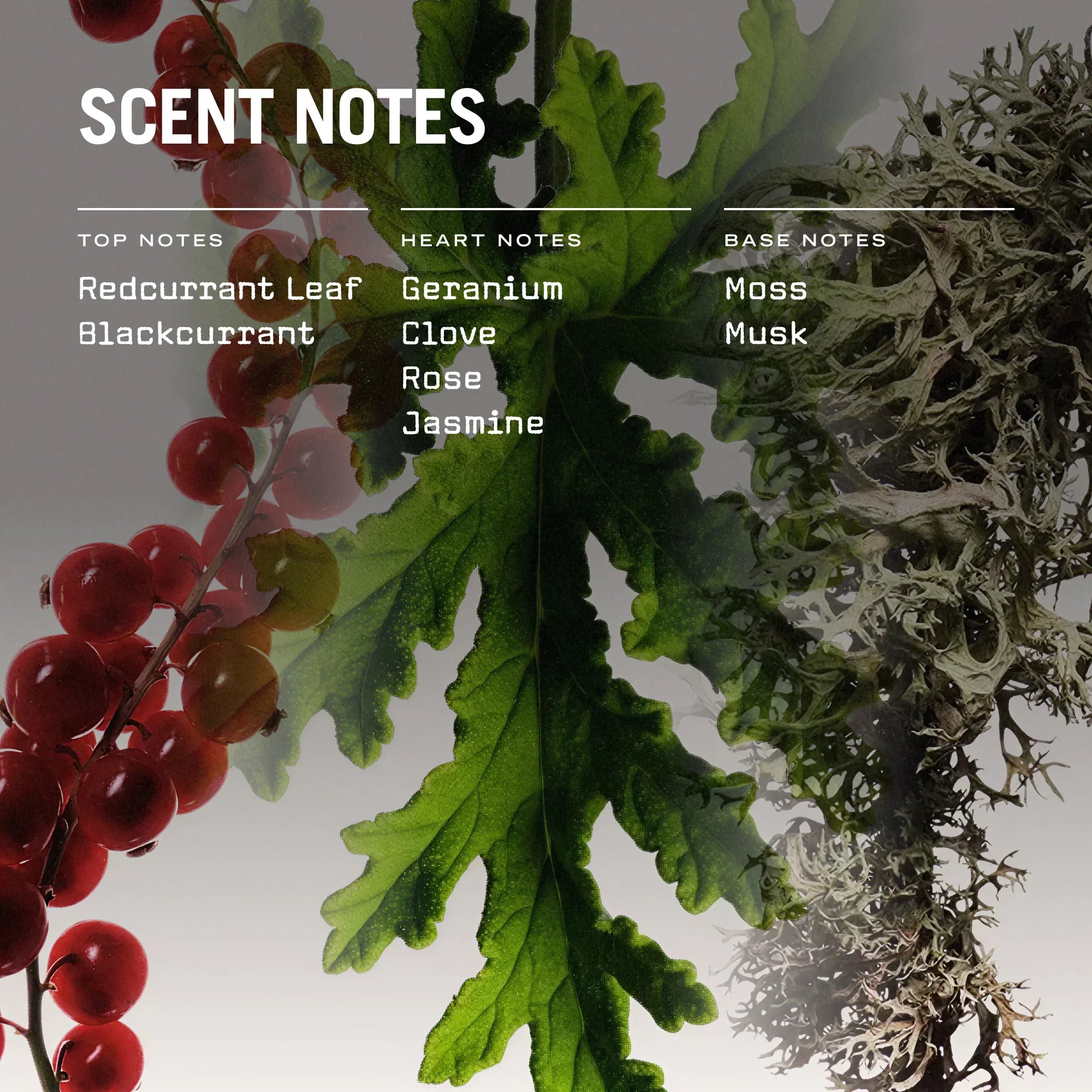 Red Lake 100ml Reed Diffuser