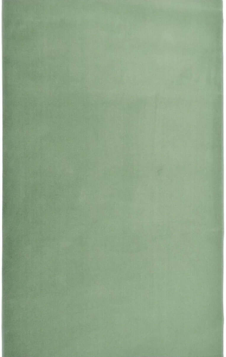 Maestro Solid Green Rug - PN Home
