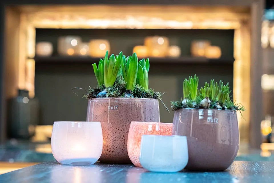 The Mouthblown Glass POT Collection - by DutZ - PN Home