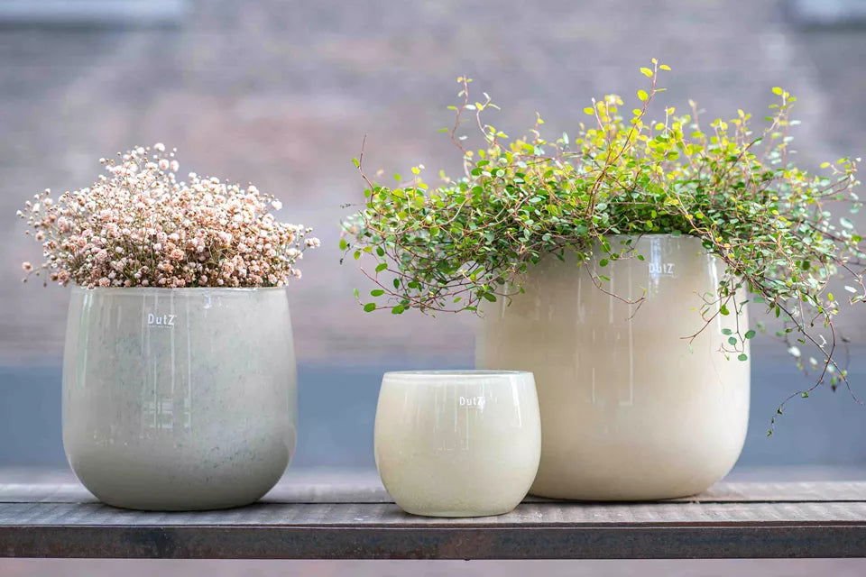 The Mouthblown Glass POT Collection - by DutZ - PN Home